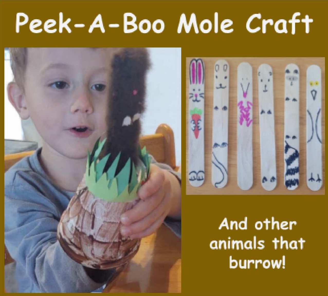 Peek-A-Boo Mole Craft